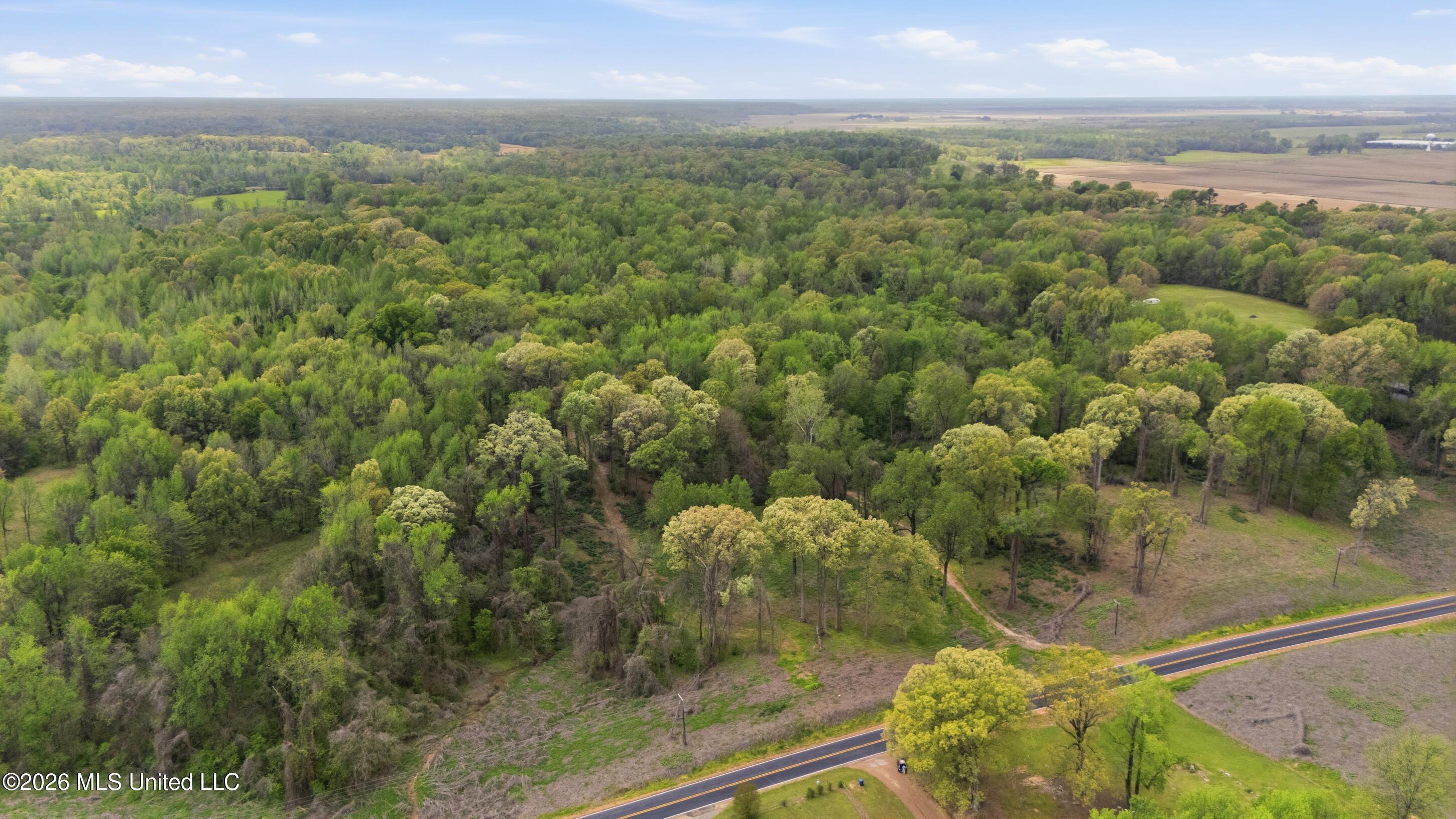 3 Nail Road Walls, MS 38680 - Photo 5 of 18 bartlett_graves_-_horn_lake_land_003