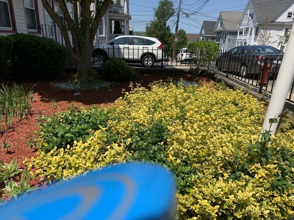 790 Broadway Everett, MA 02149 - Photo 6 of 39 a view of yard from deck area with seating space