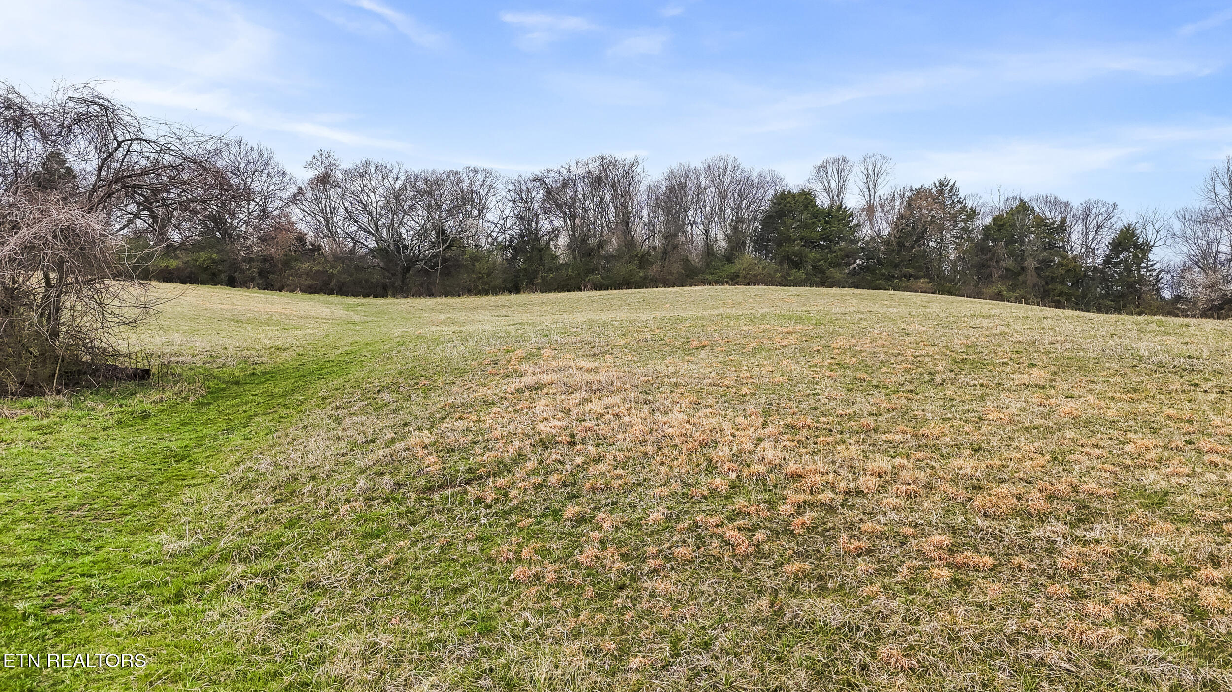 0 Bales Road New Market, TN 37820 - Photo 12 of 22 12_dji_20260303101150_0385_d_1