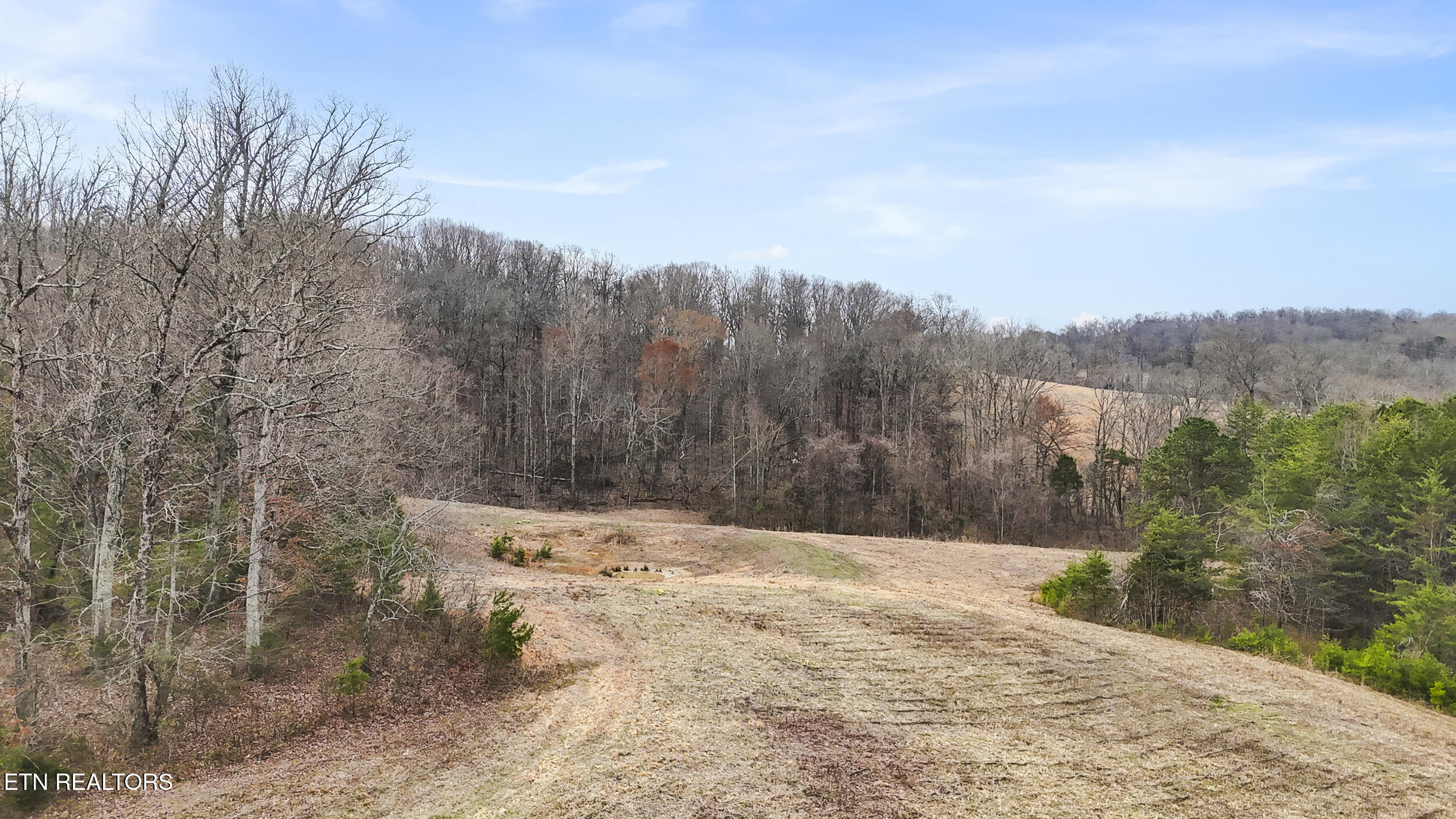 0 Bales Road New Market, TN 37820 - Photo 13 of 22 17_dji_20260303102234_0425_d_1