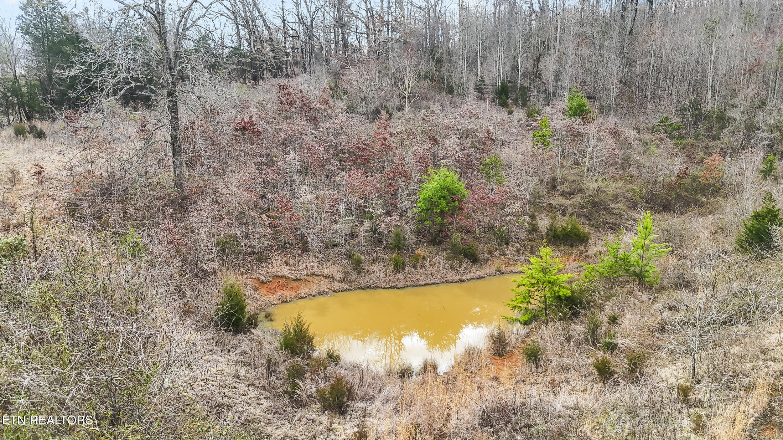 0 Bales Road New Market, TN 37820 - Photo 14 of 22 15_dji_20260303102017_0413_d_1
