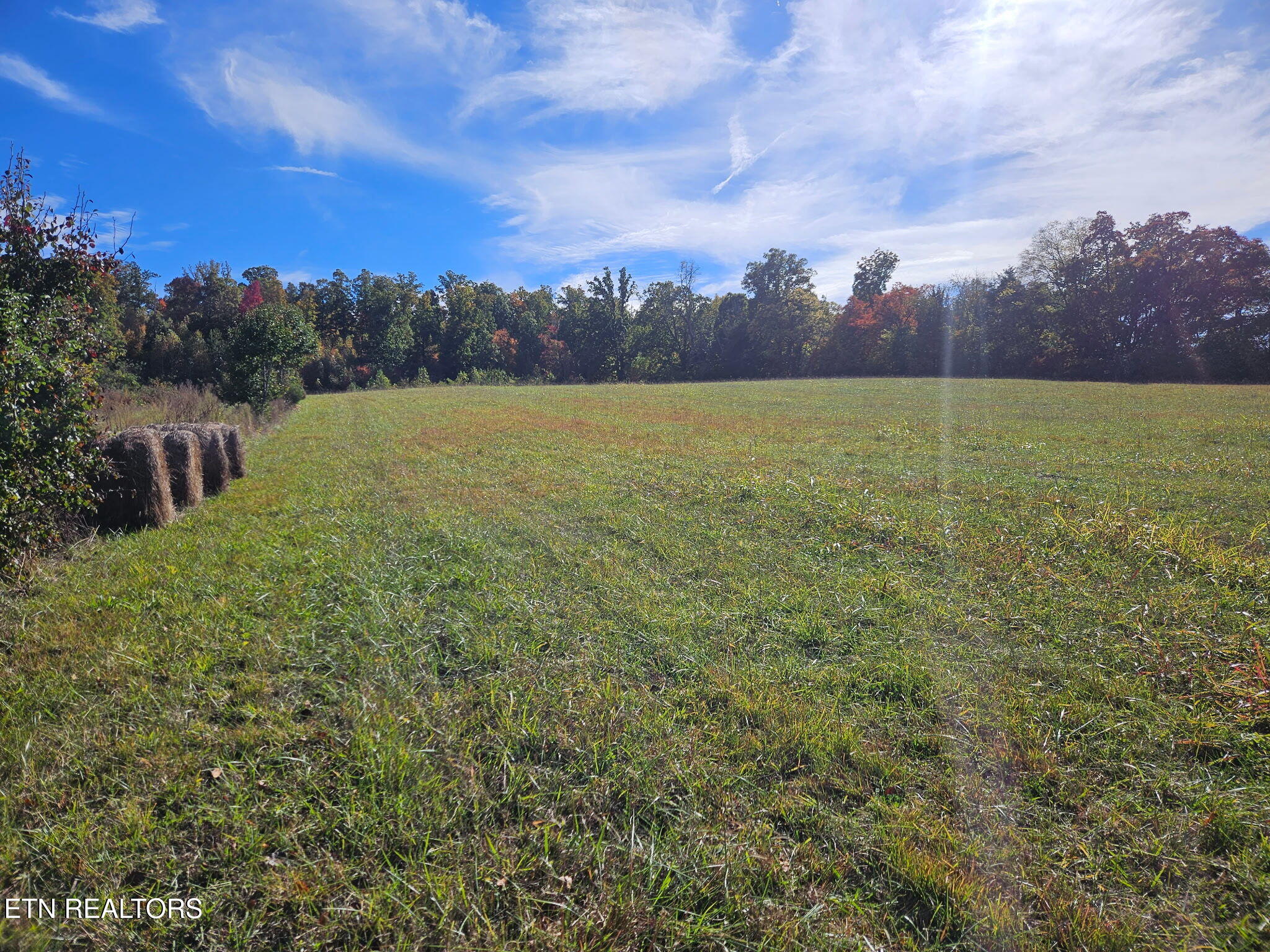 0 Bales Road New Market, TN 37820 - Photo 15 of 22 3023291393420381543