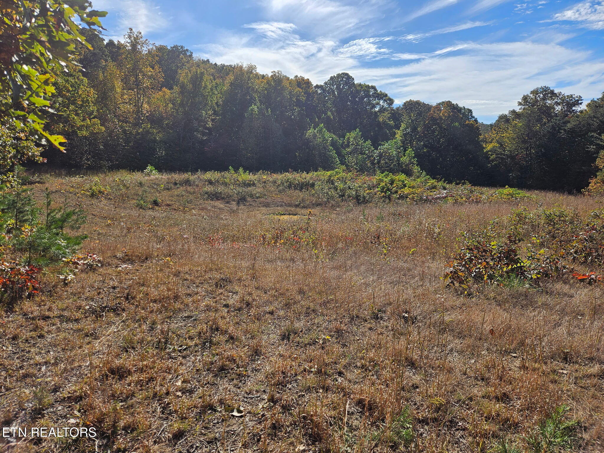 0 Bales Road New Market, TN 37820 - Photo 20 of 22 5392667698174714770