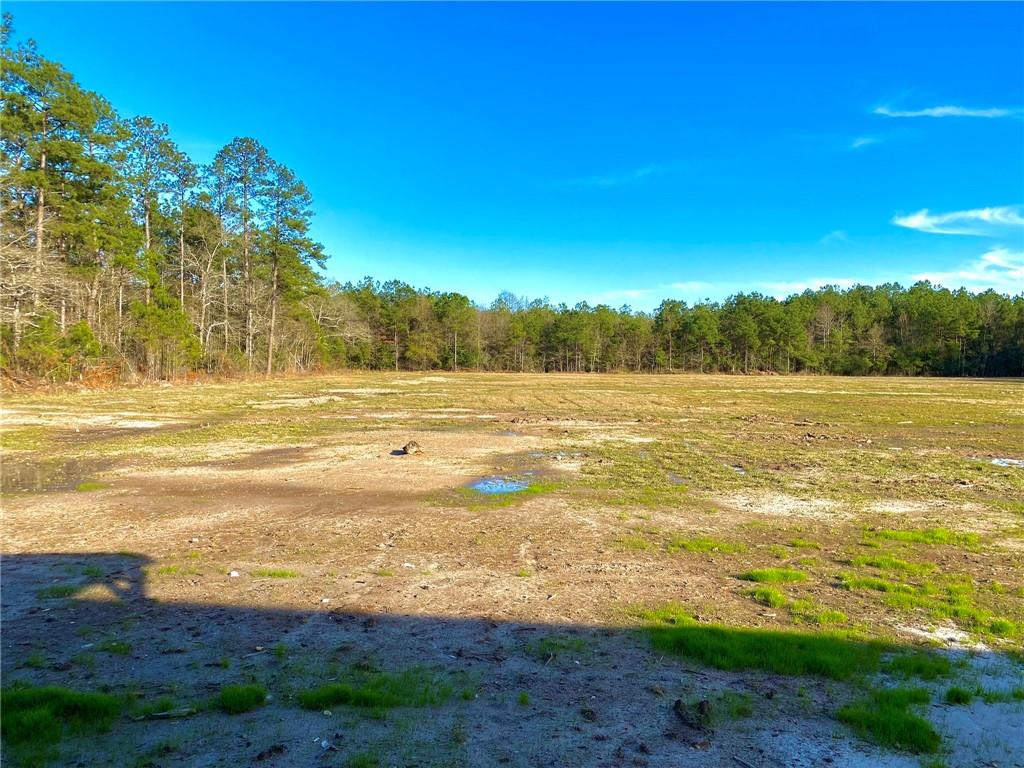 39180 Raiford Road Ponchatoula, LA 70454 - Photo 8 of 8 Gallery Image 8