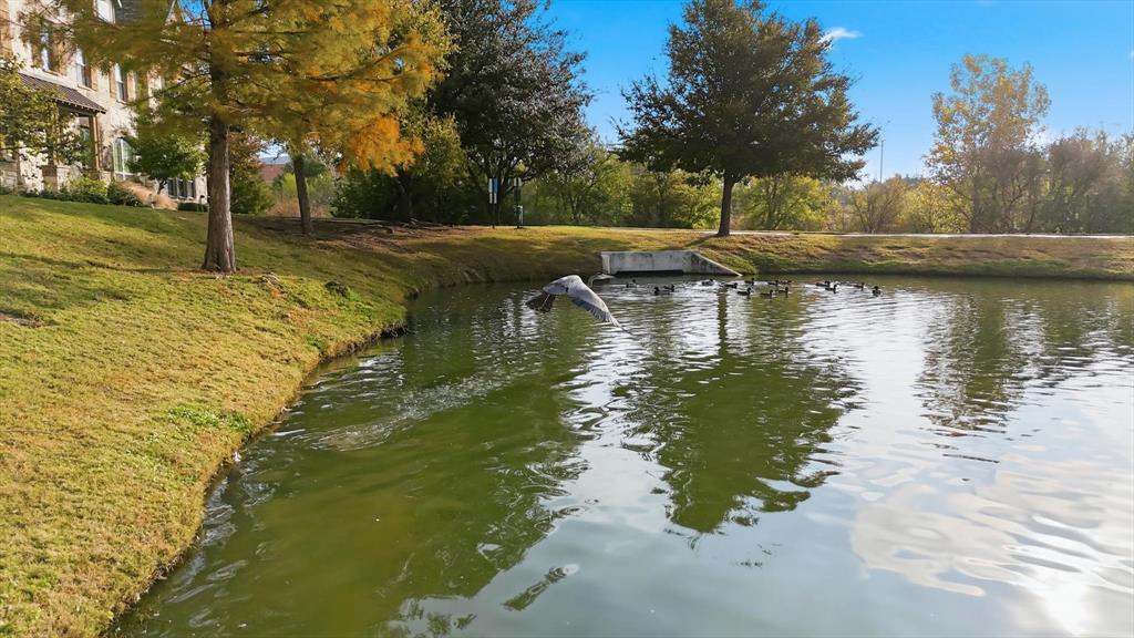 4642 Rhett Lane, Unit B Carrollton, TX 75010 - Photo 4 of 26 Water view