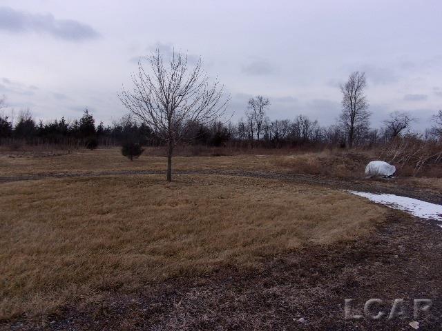 16000 Beecher Road Hudson, MI 49247 - Photo 6 of 14