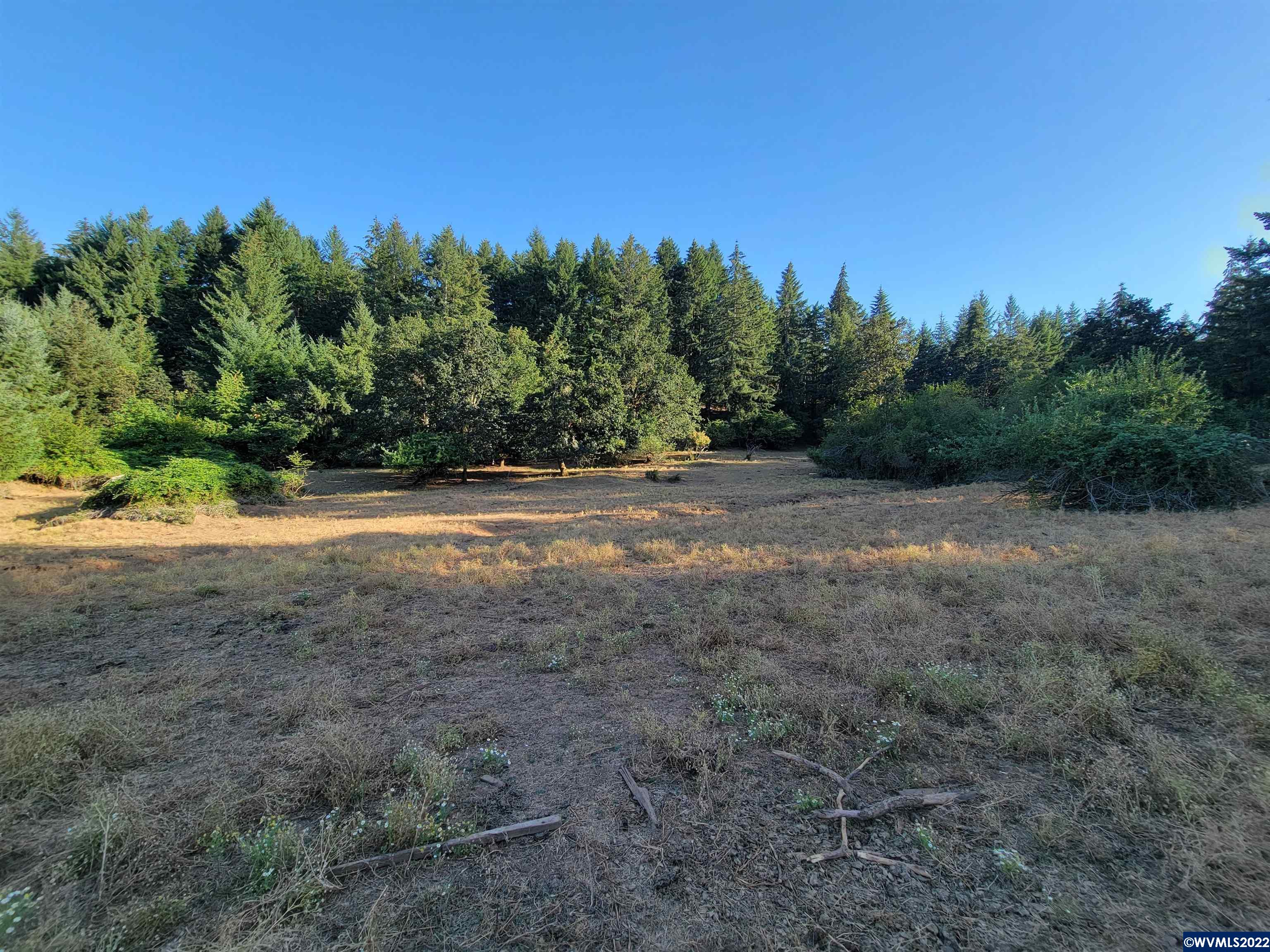 15410 Oakdale Road Dallas, OR 97338 - Photo 16 of 31