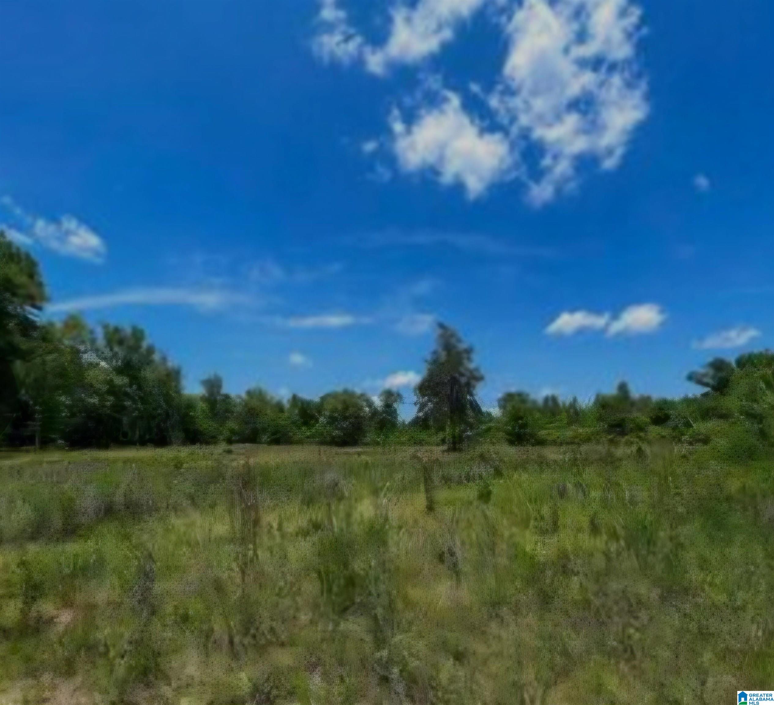 0 County Road 103, Unit 1 Plantersville, AL 36758 - Photo 4 of 7