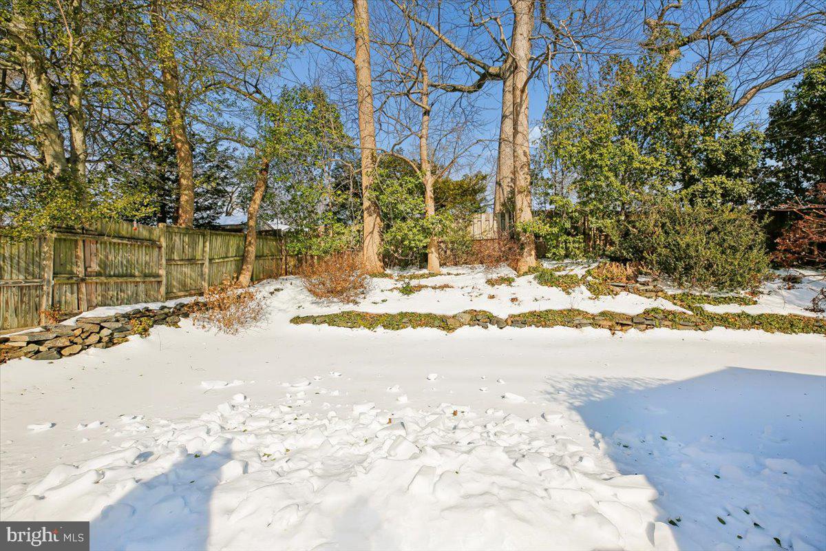 1707 Sanford Road Silver Spring, MD 20902 - Photo 51 of 55 Lovely Landscaped & Private Yard
