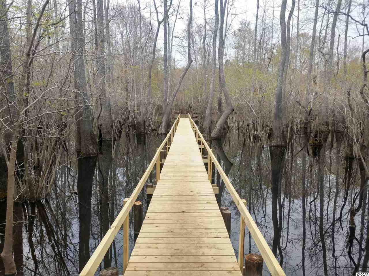 877 Rowe Pond Road Conway, SC 29526 - Photo 2 of 21 Gallery Image 2