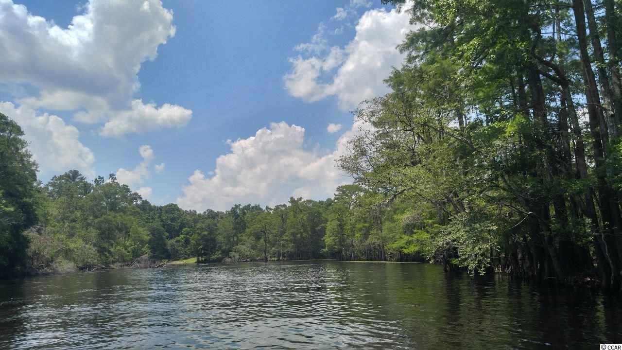 877 Rowe Pond Road Conway, SC 29526 - Photo 11 of 21 Gallery Image 11