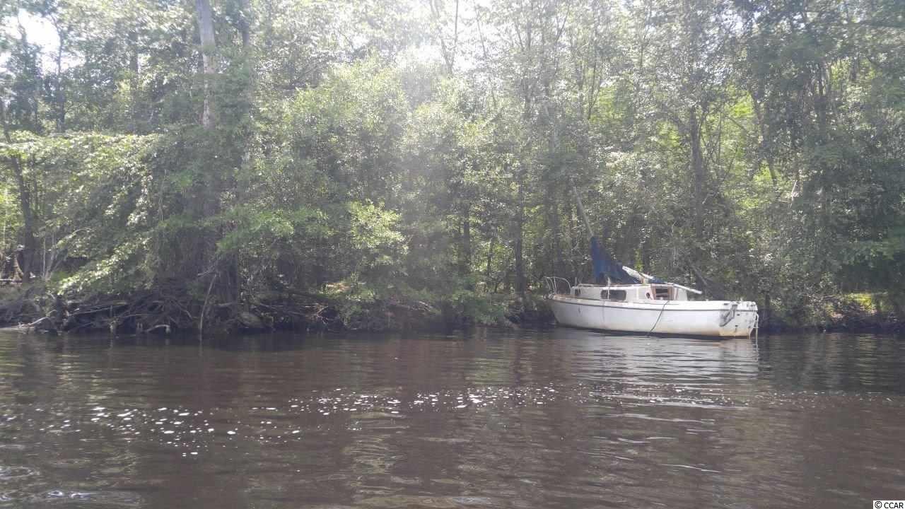 877 Rowe Pond Road Conway, SC 29526 - Photo 13 of 21 Gallery Image 13