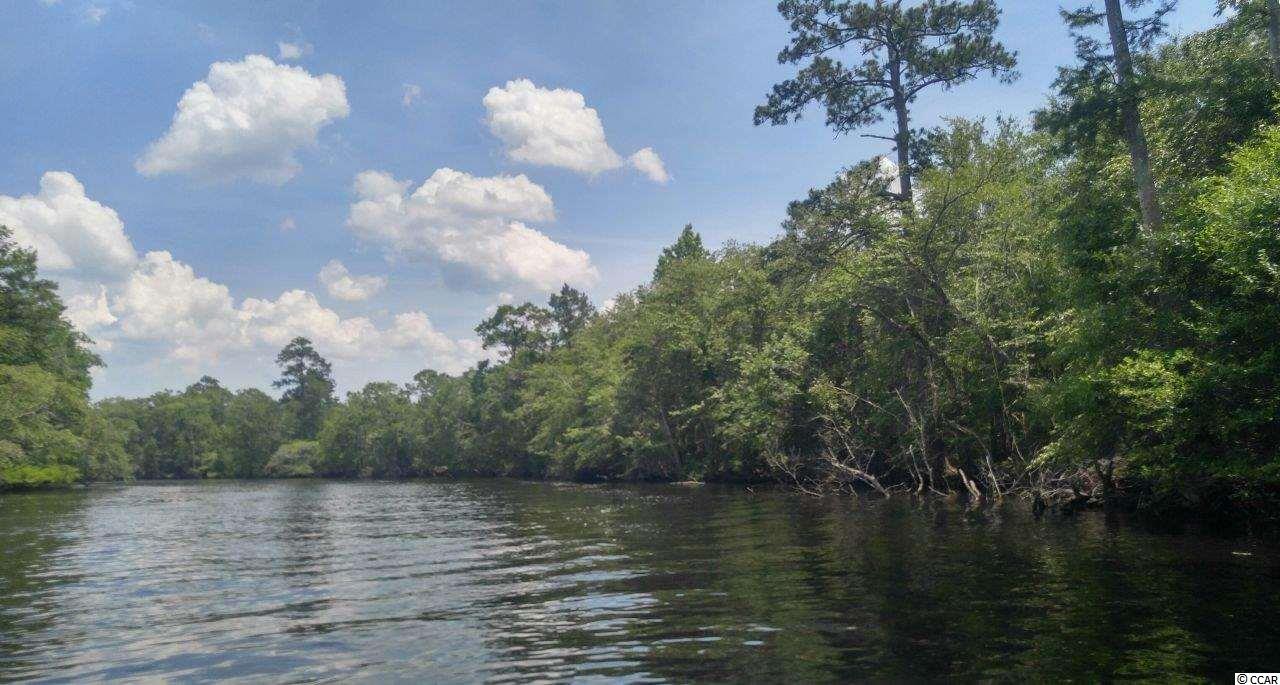 877 Rowe Pond Road Conway, SC 29526 - Photo 14 of 21 Gallery Image 14