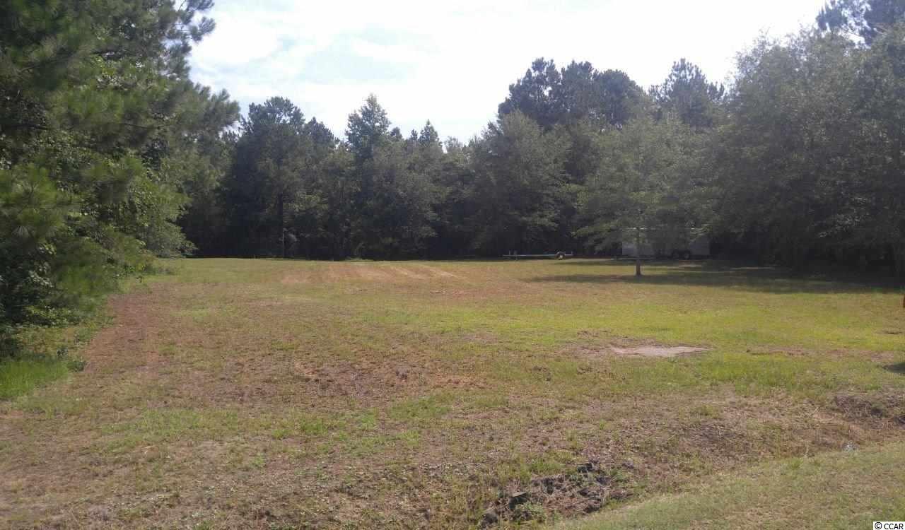 877 Rowe Pond Road Conway, SC 29526 - Photo 15 of 21 Gallery Image 15