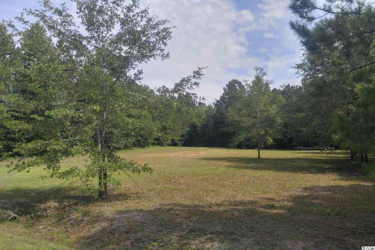 877 Rowe Pond Road Conway, SC 29526 - Photo 16 of 21 Gallery Image 16