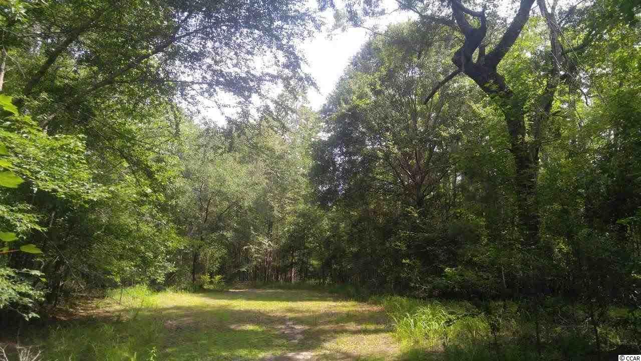 877 Rowe Pond Road Conway, SC 29526 - Photo 19 of 21 Gallery Image 19