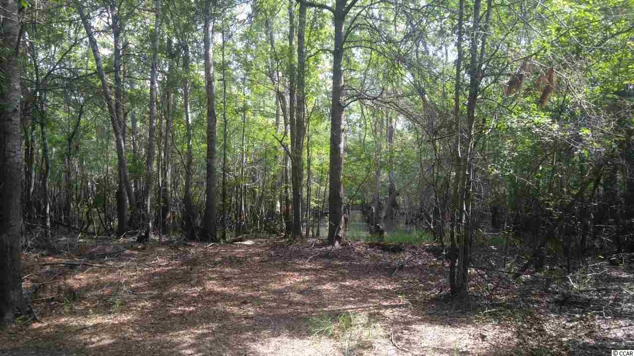 877 Rowe Pond Road Conway, SC 29526 - Photo 20 of 21 Gallery Image 20