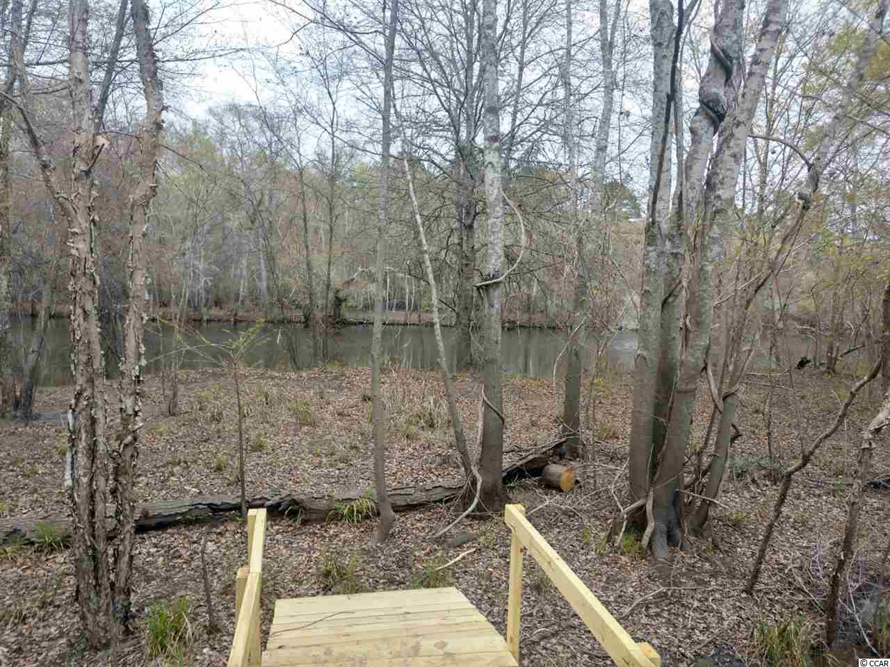 877 Rowe Pond Road Conway, SC 29526 - Photo 4 of 21 Gallery Image 4
