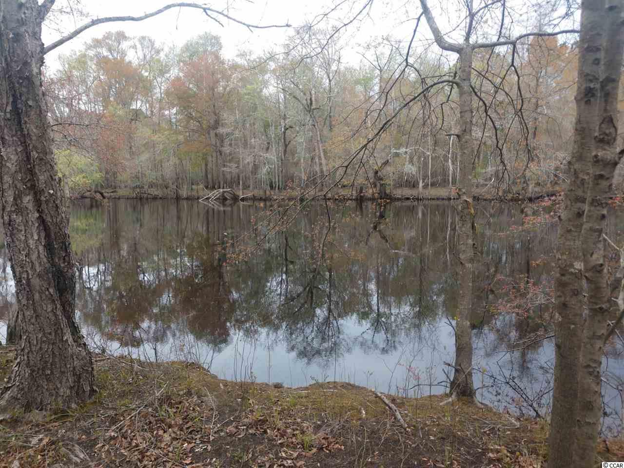 877 Rowe Pond Road Conway, SC 29526 - Photo 5 of 21 Gallery Image 5