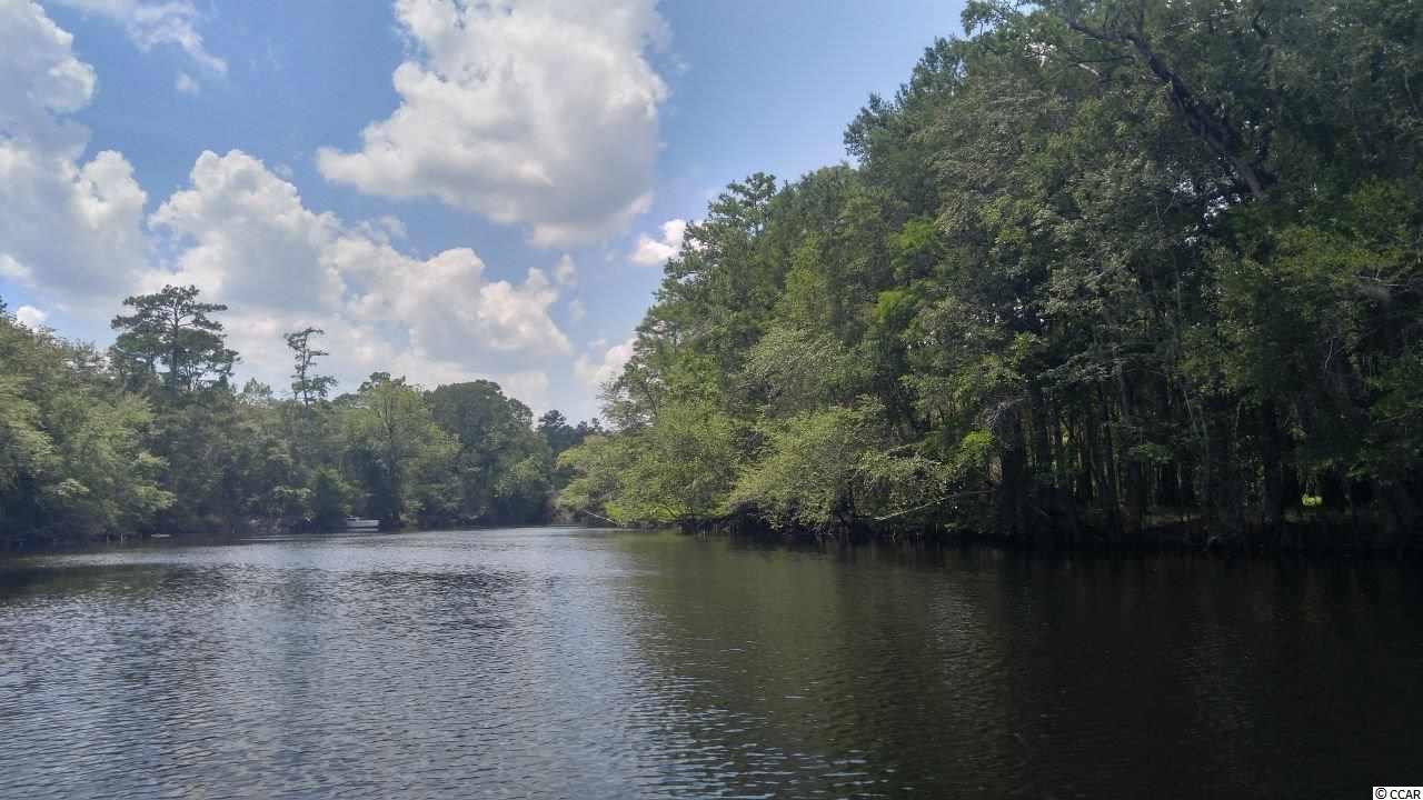877 Rowe Pond Road Conway, SC 29526 - Photo 7 of 21 Gallery Image 7
