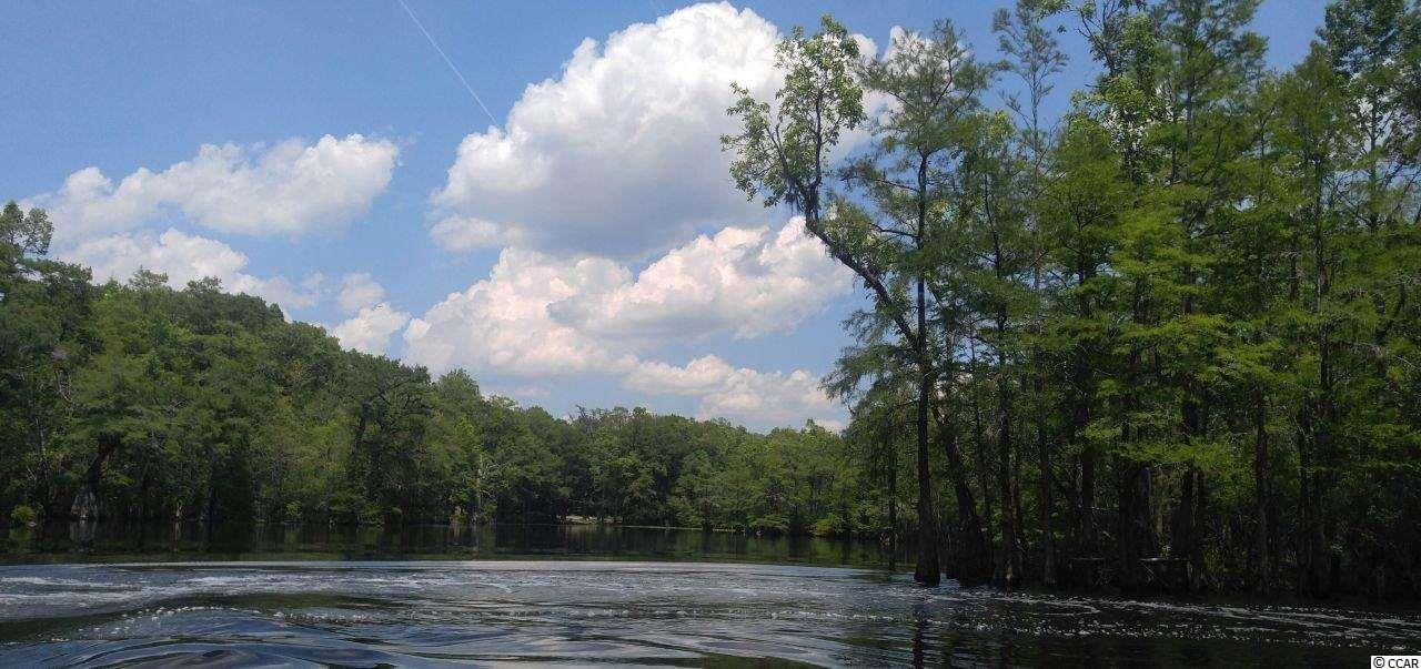 877 Rowe Pond Road Conway, SC 29526 - Photo 9 of 21 Gallery Image 9