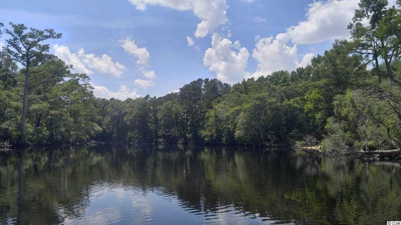 877 Rowe Pond Road Conway, SC 29526 - Photo 10 of 21 Gallery Image 10