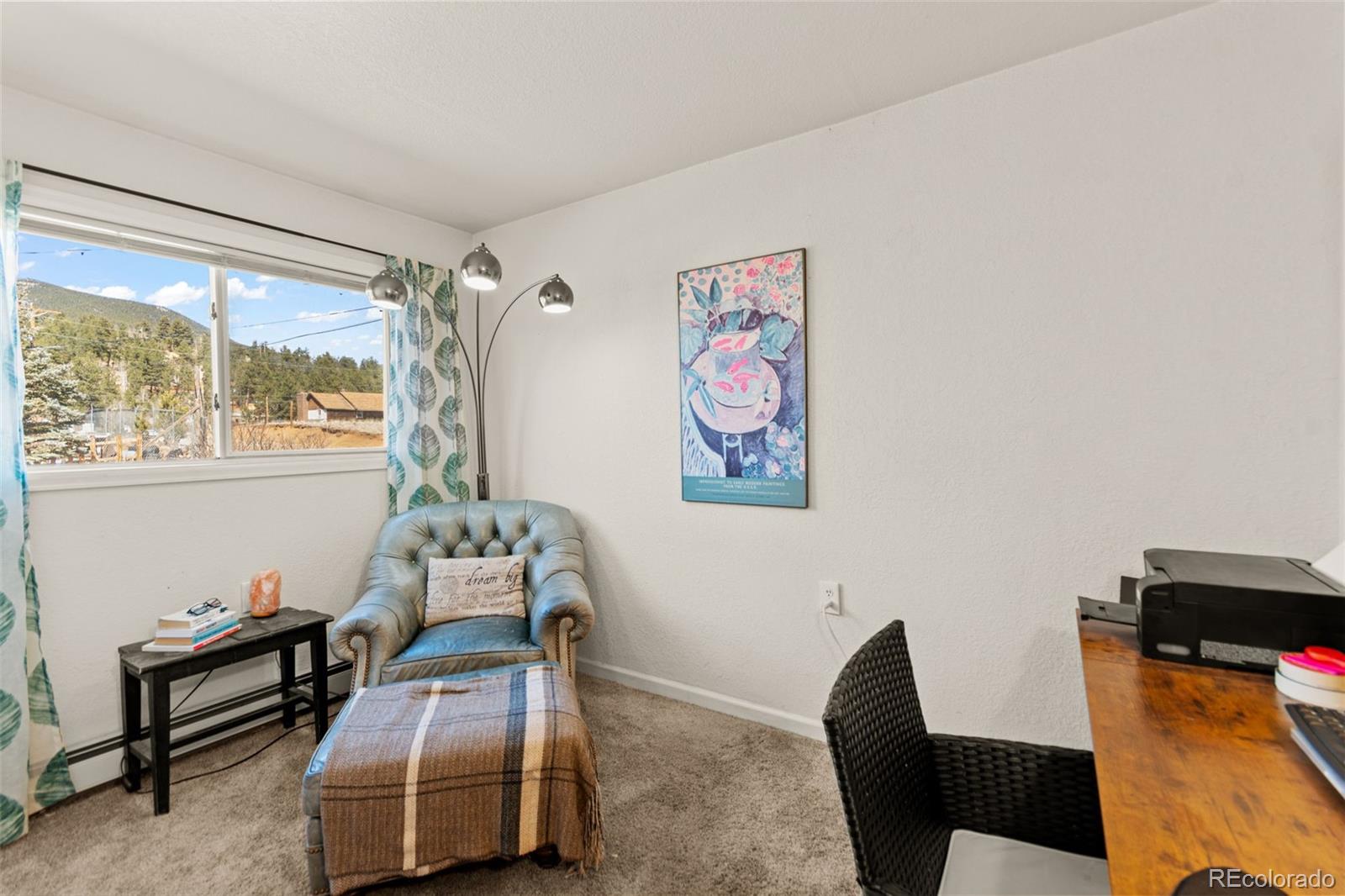 211 Appleby Street Bailey, CO 80421 - Photo 16 of 49