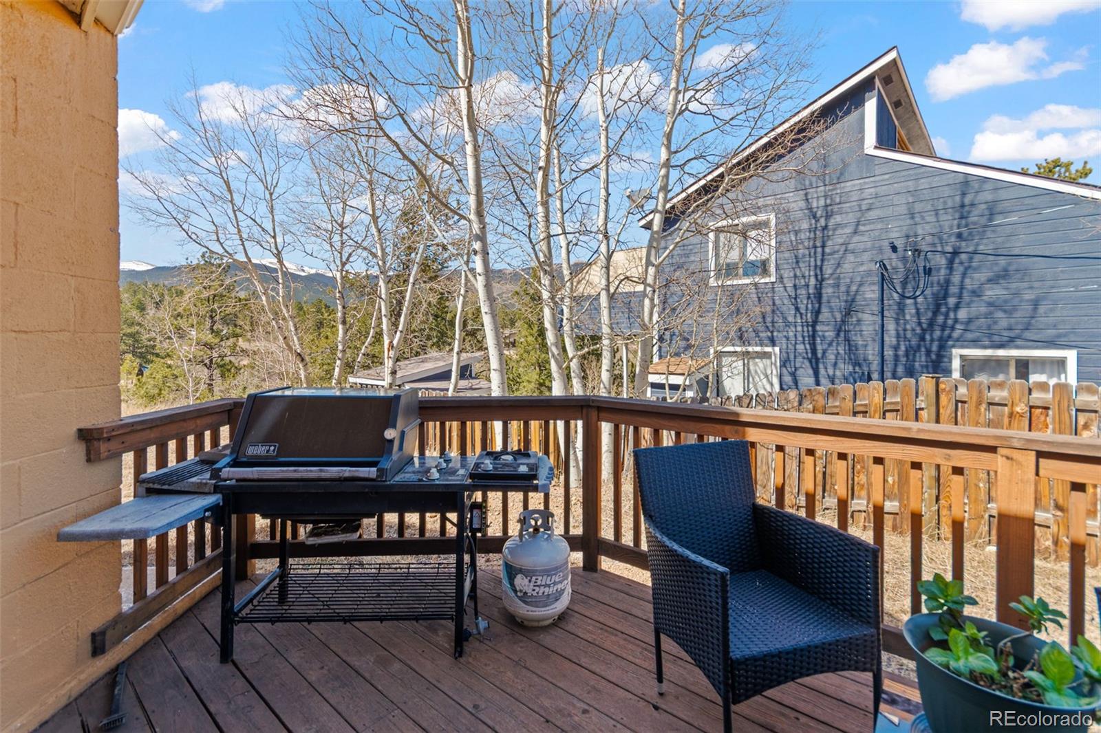 211 Appleby Street Bailey, CO 80421 - Photo 18 of 49