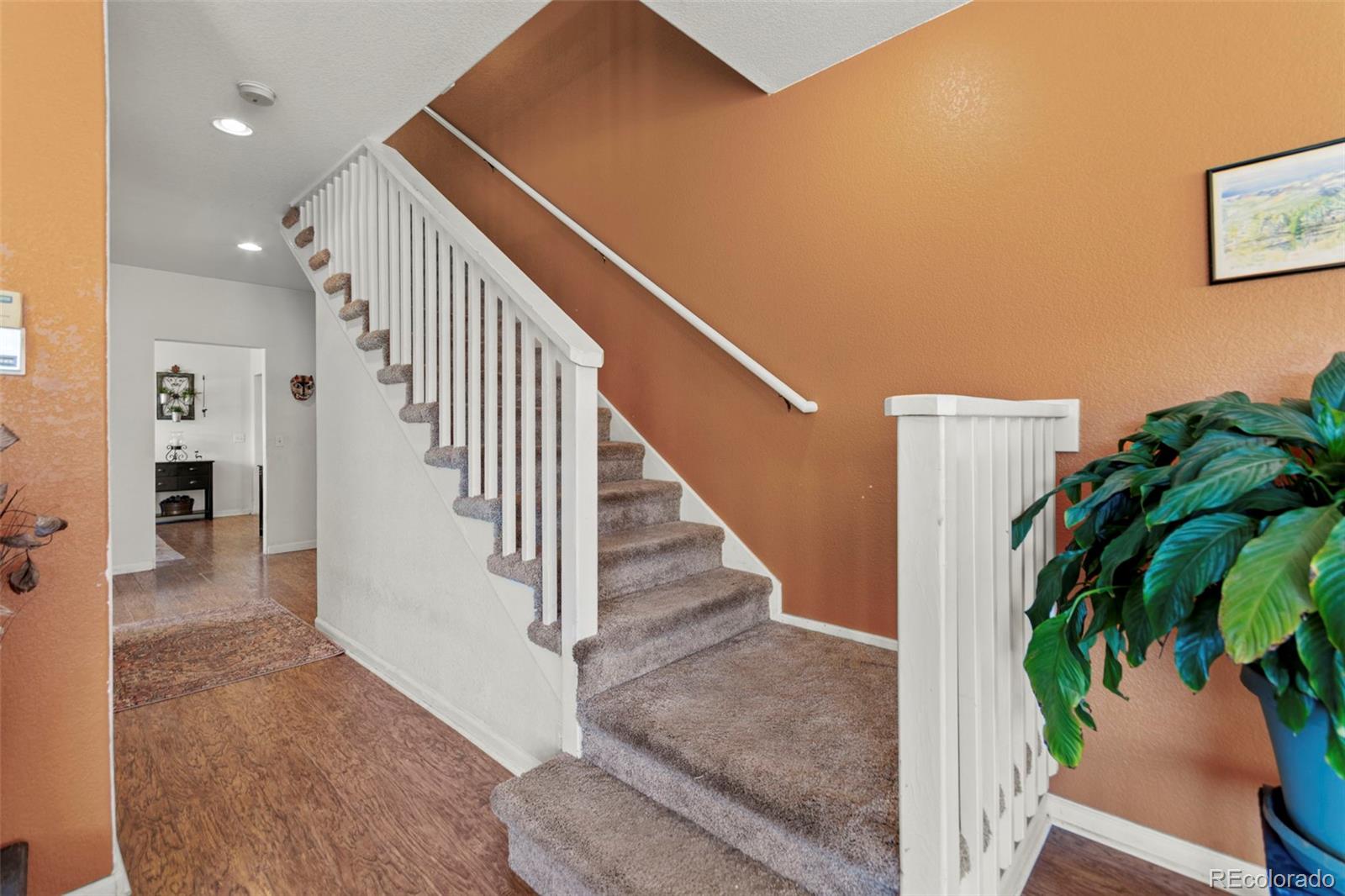 211 Appleby Street Bailey, CO 80421 - Photo 31 of 49