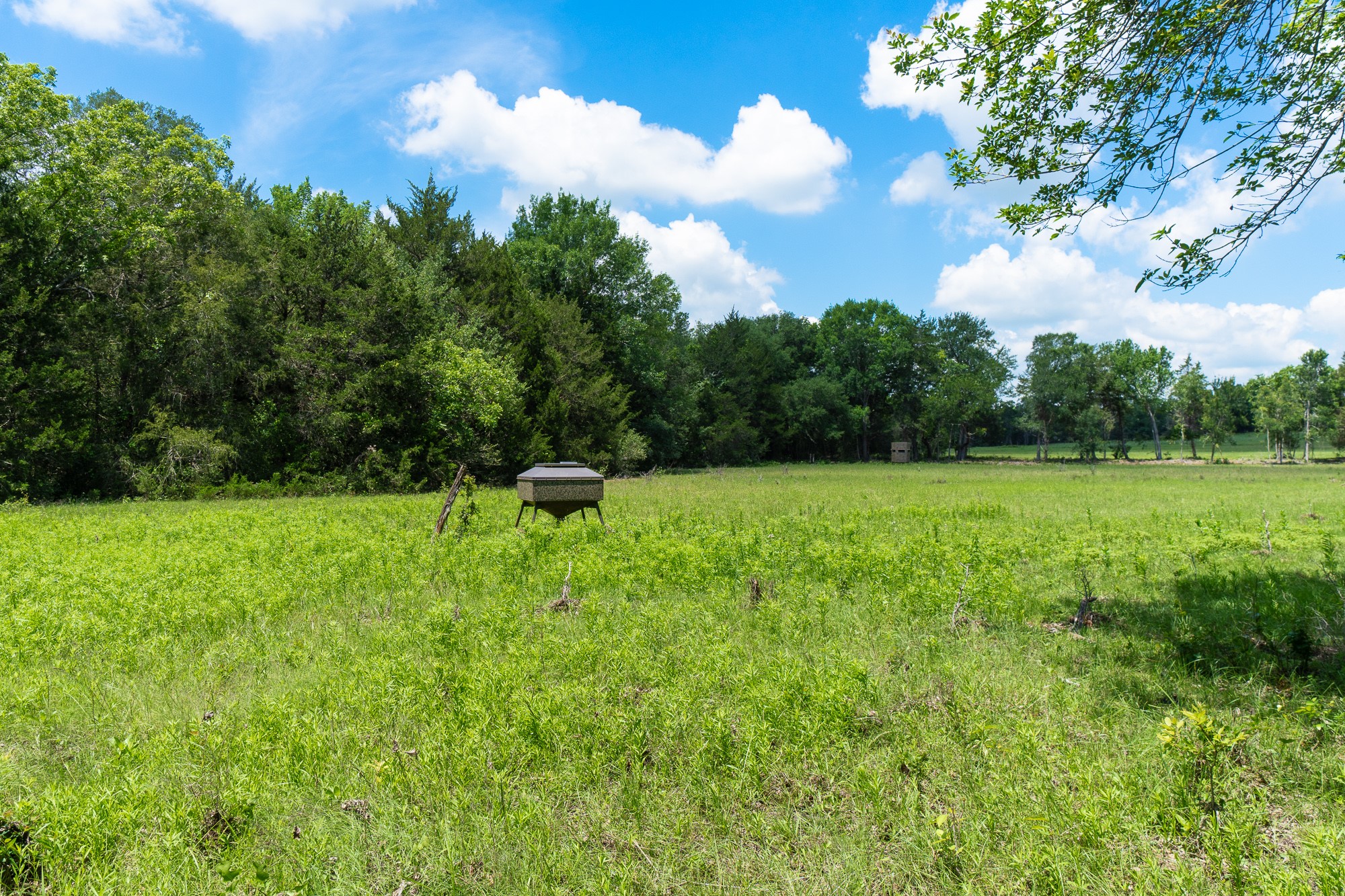 5018 Wolters Road Schulenburg, TX 78956 - Photo 33 of 39 a garden view
