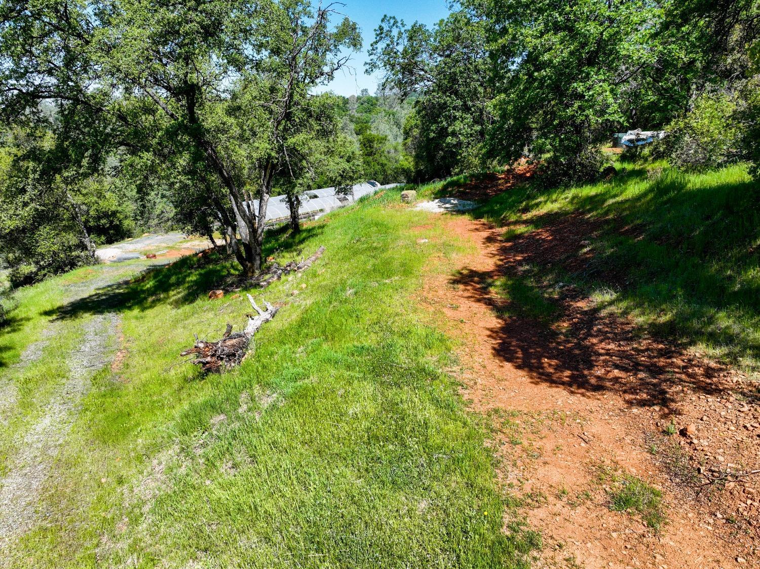 15806 Perimeter Road Grass Valley, CA 95949 - Photo 44 of 48