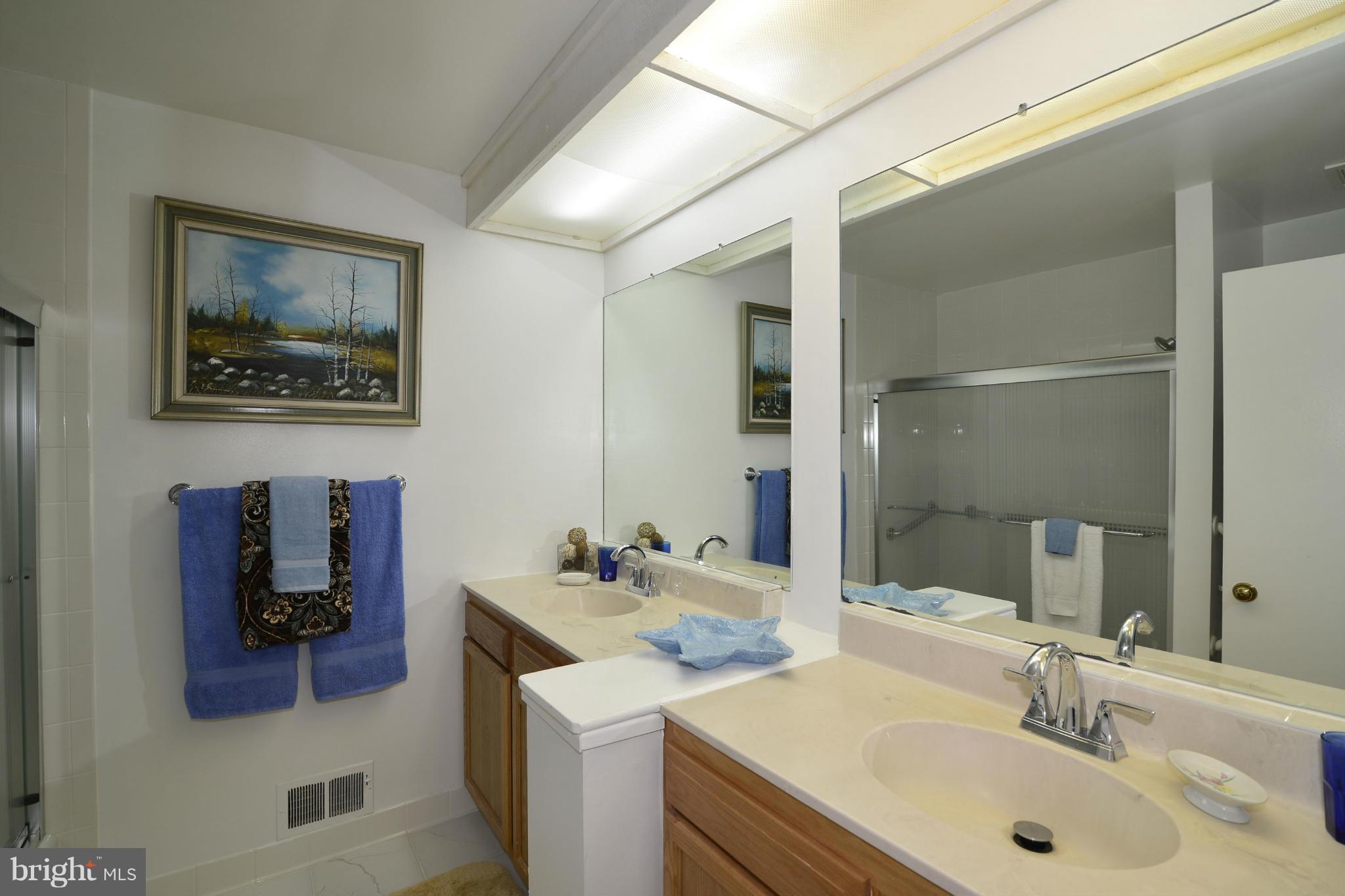 2446 Freetown Drive Reston, VA 20191 - Photo 11 of 30 Bath (Master)