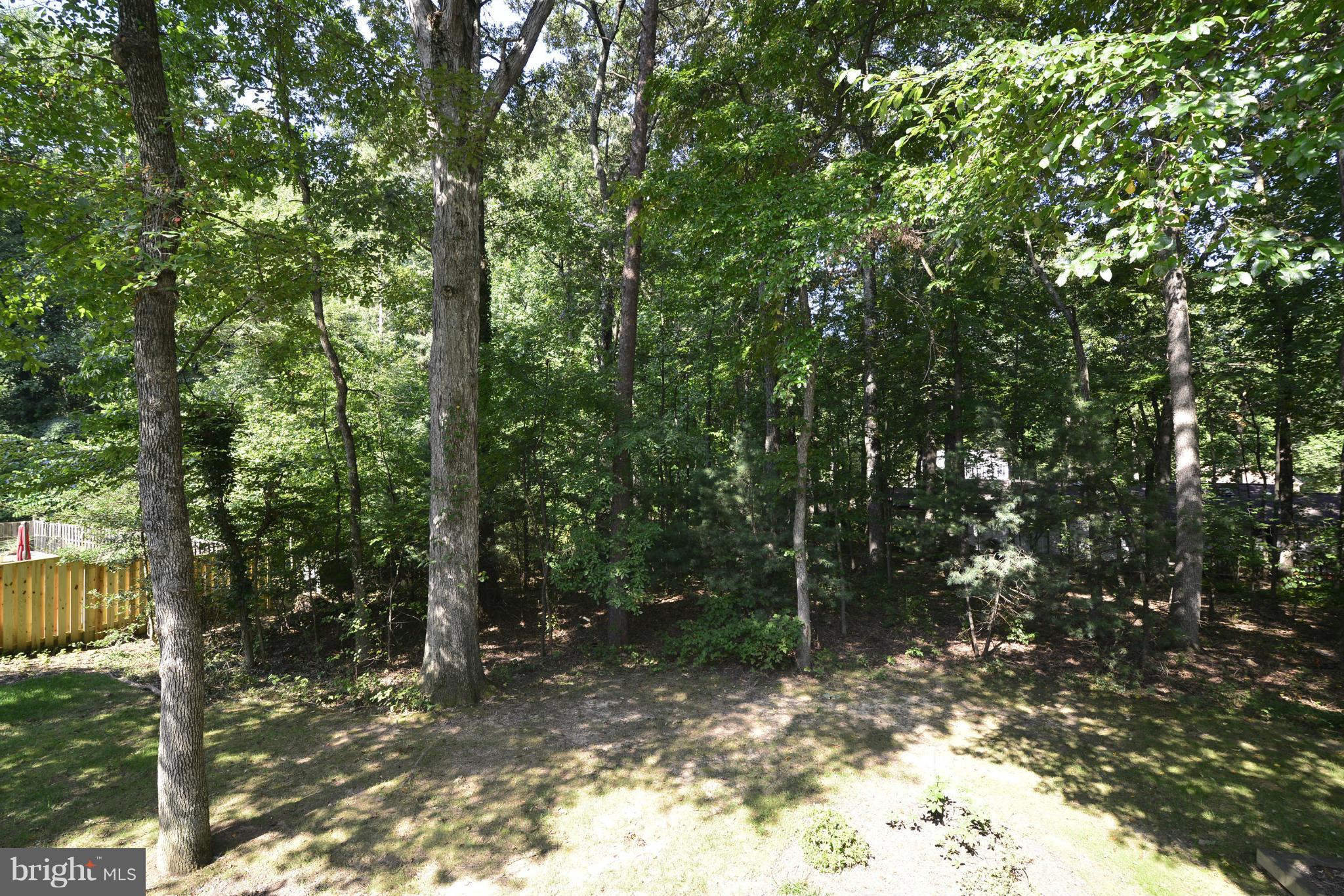 2446 Freetown Drive Reston, VA 20191 - Photo 21 of 30 Private treed back yard
