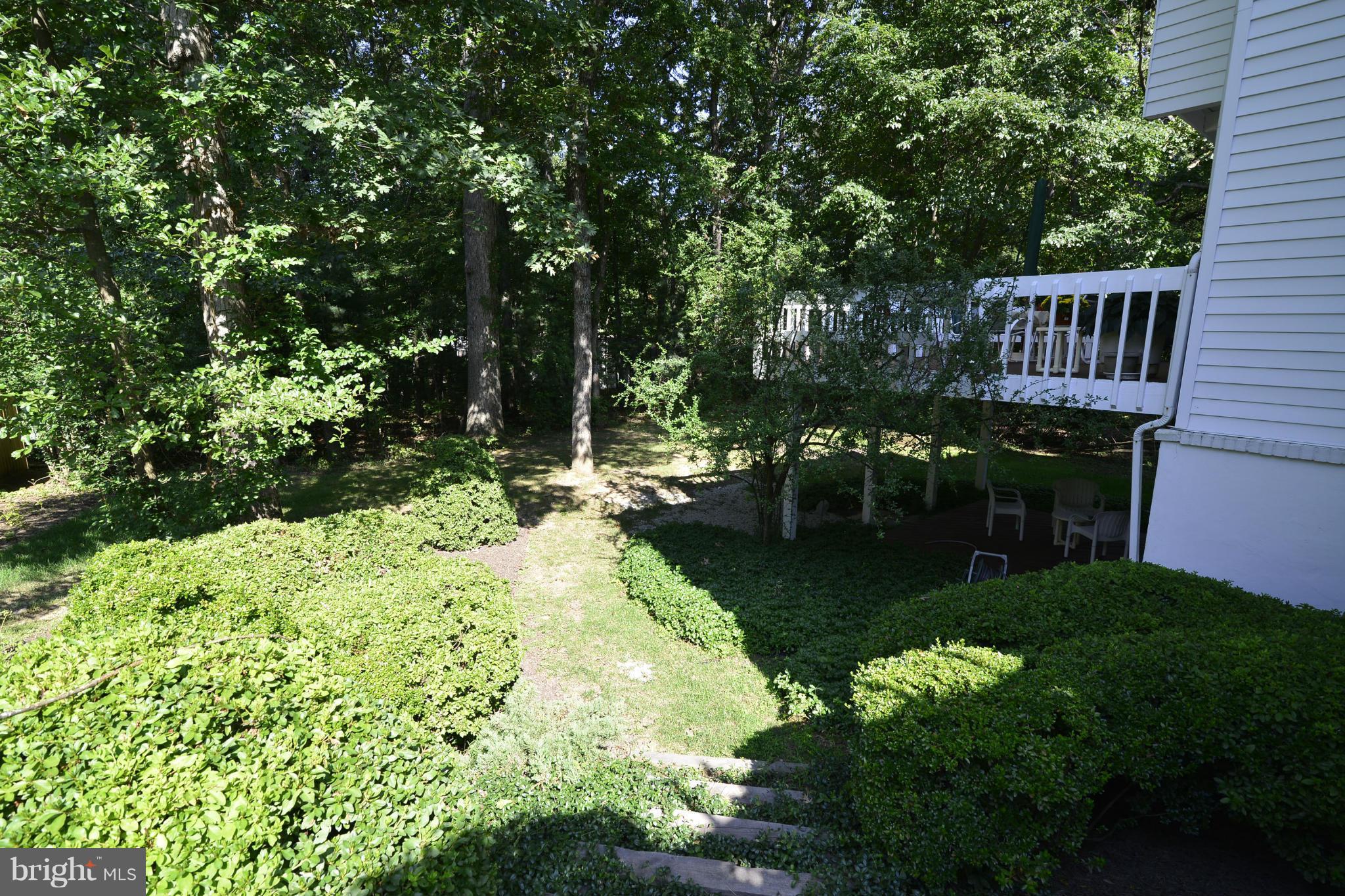 2446 Freetown Drive Reston, VA 20191 - Photo 22 of 30 Side yard view
