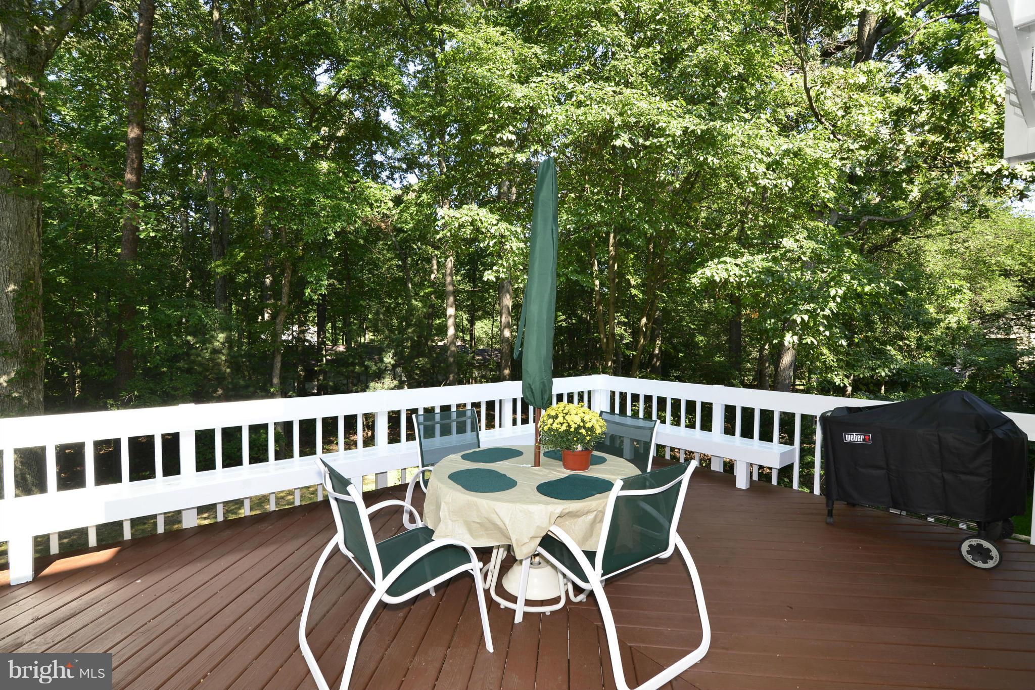 2446 Freetown Drive Reston, VA 20191 - Photo 23 of 30 Lovely private deck