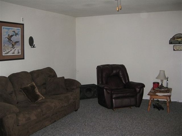 25425 North Boat Dock Road Canton, IL 61520 - Photo 7 of 15