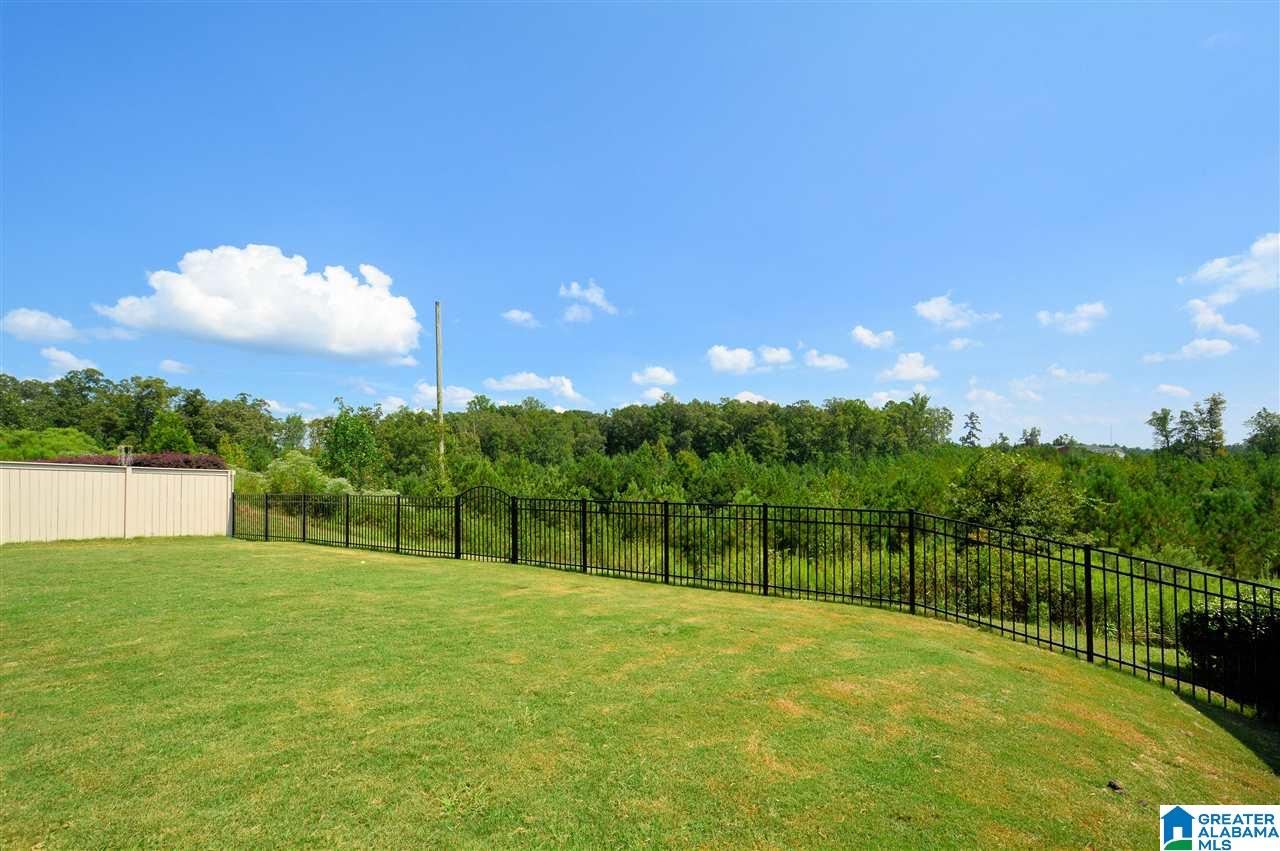 618 Foothills Trace Chelsea, AL 35043 - Photo 5 of 34