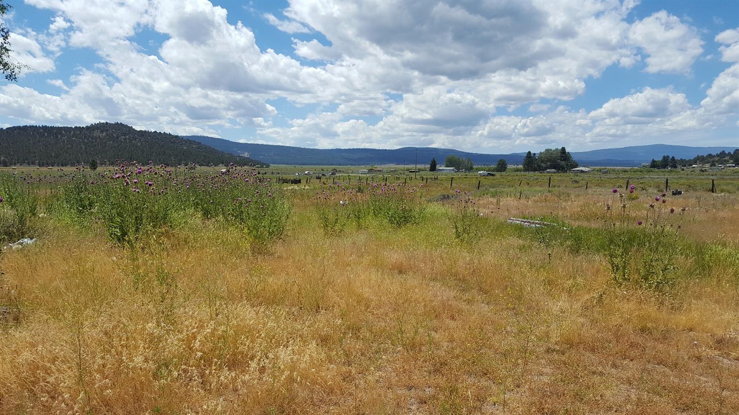 32314 Drews Road Chiloquin, OR 97624 - Photo 4 of 27 Additional Photo