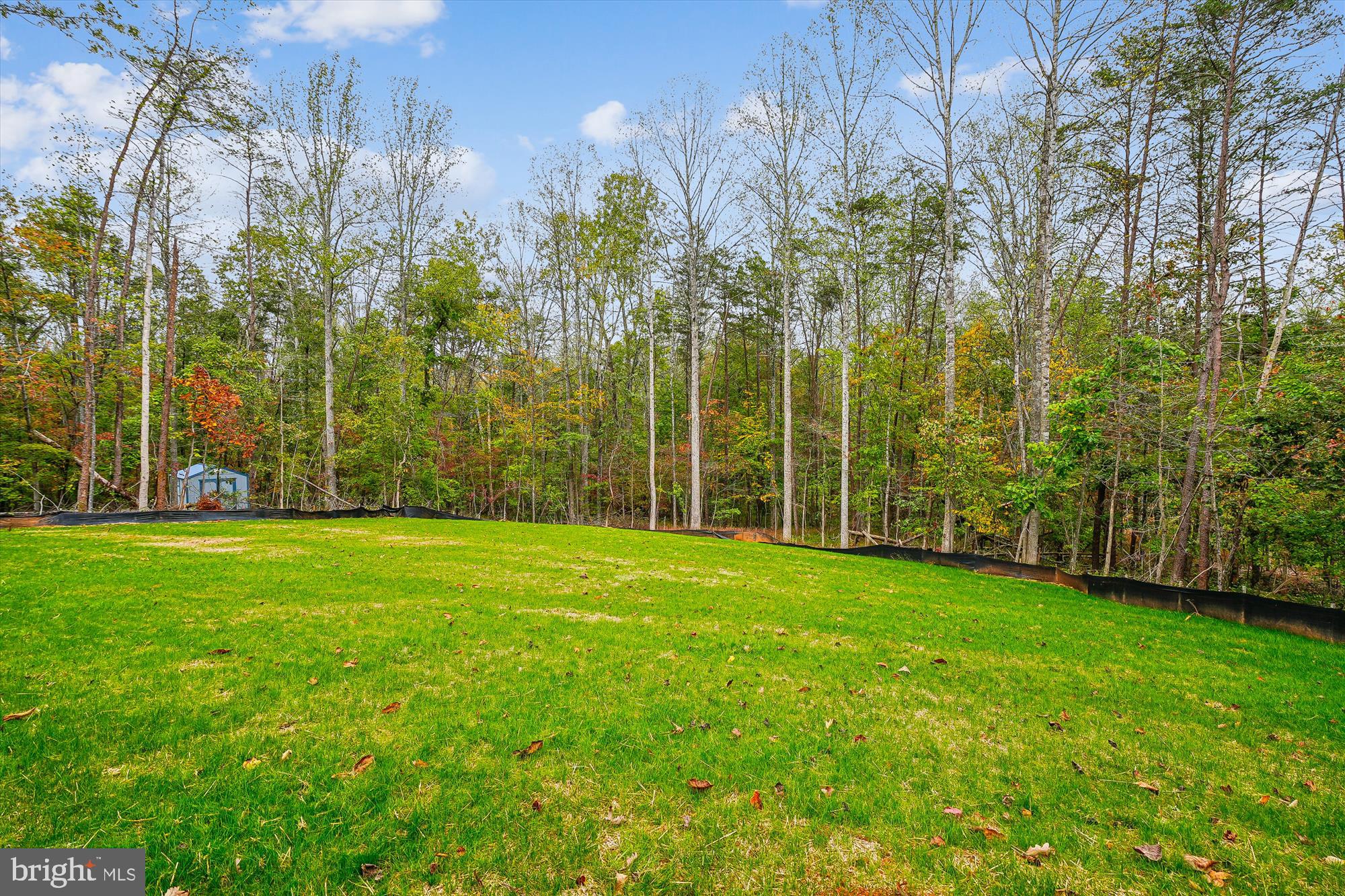 15017 Rillhurst Drive Culpeper, VA 22701 - Photo 32 of 34 a view of a field with a tree
