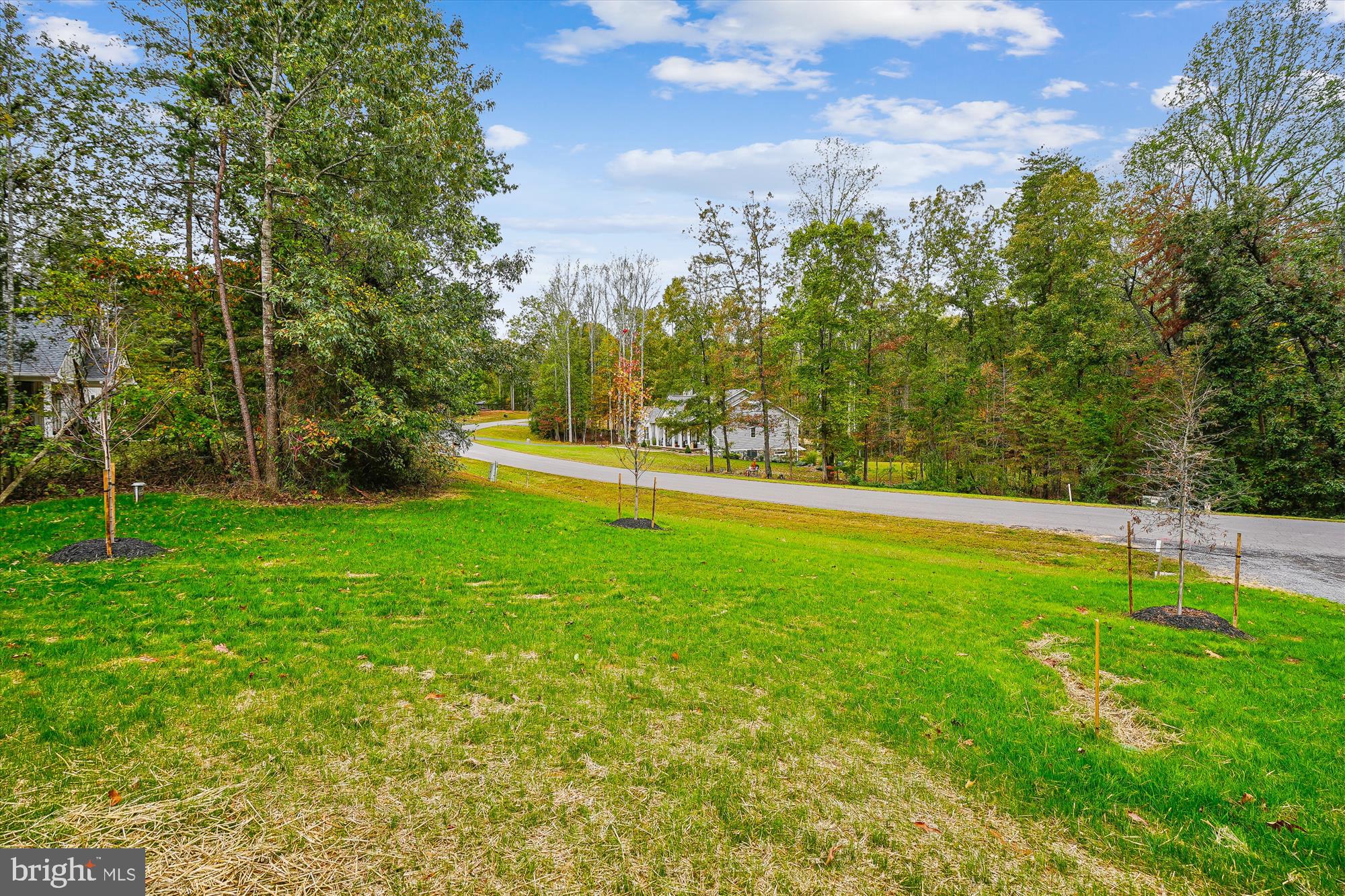 15017 Rillhurst Drive Culpeper, VA 22701 - Photo 34 of 34 a view of a yard with a large trees