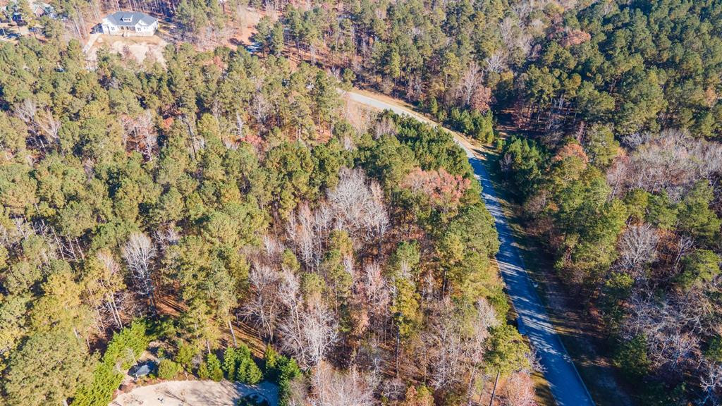 Lot K18 Colin Reed's Road North Augusta, SC 29860 - Photo 4 of 14