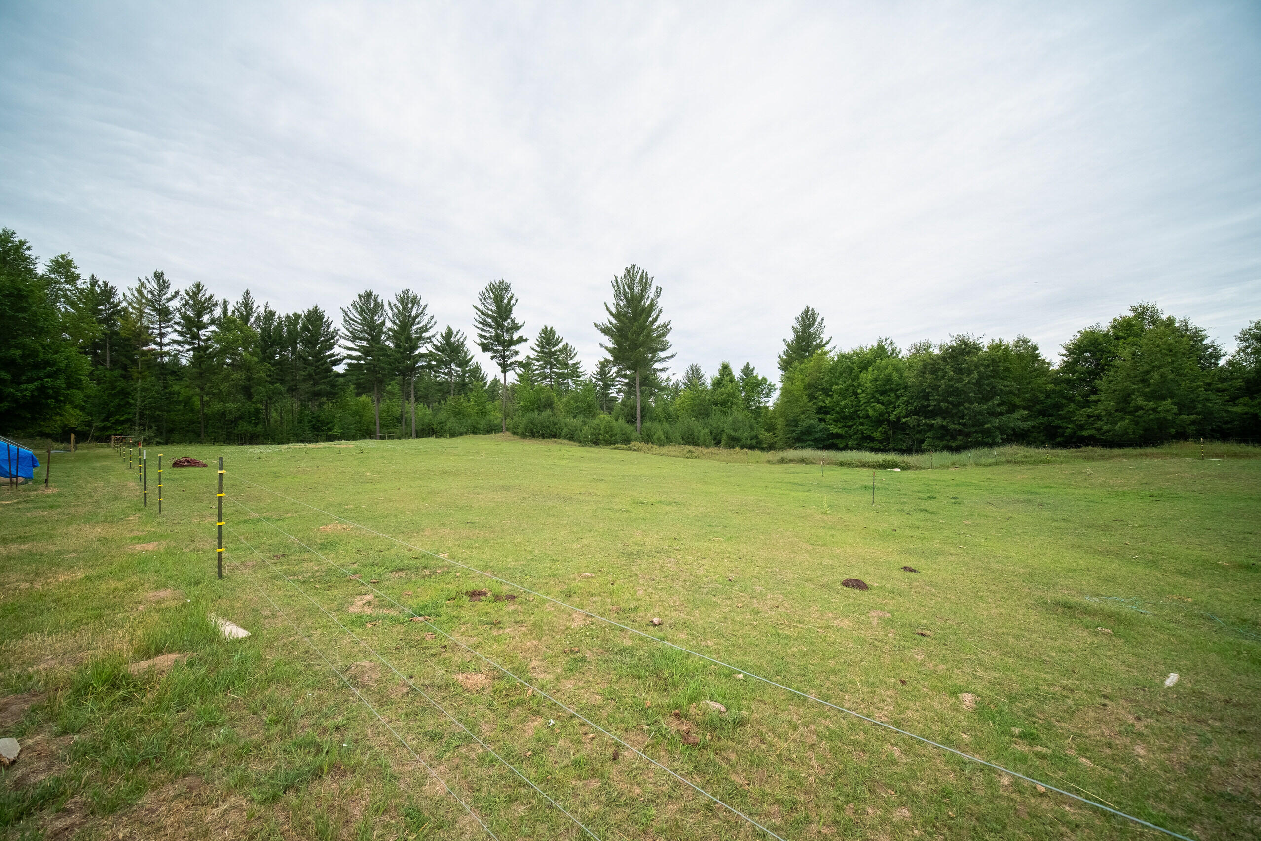 8916 Hodge Road Kingsley, MI 49649 - Photo 65 of 90 1880 Farmhouse on 5+ ac8916_Hodge_Rd-01
