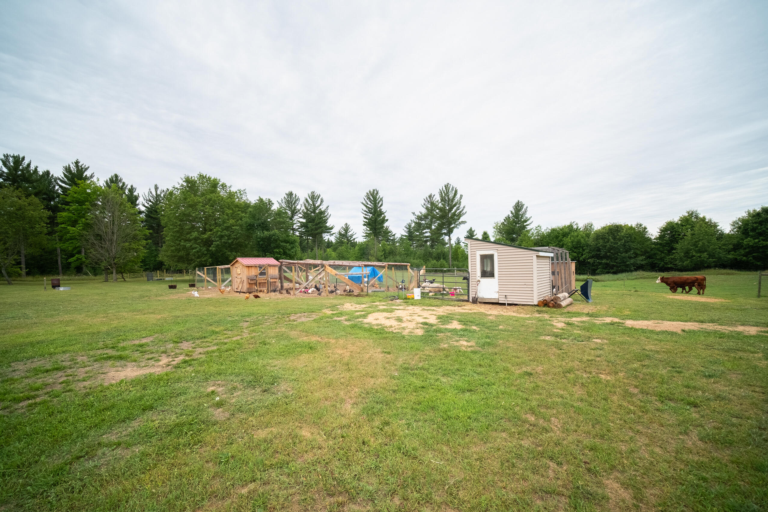 8916 Hodge Road Kingsley, MI 49649 - Photo 68 of 90 1880 Farmhouse on 5+ ac8916_Hodge_Rd-01