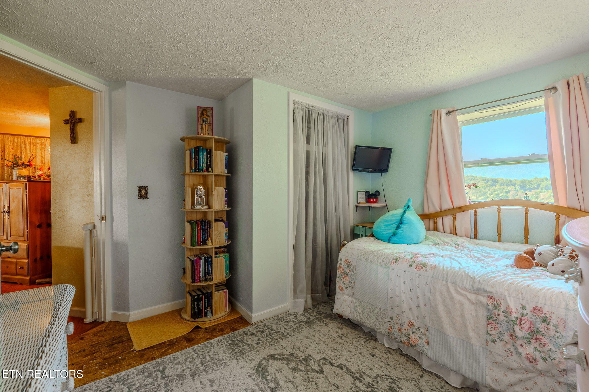 891 Tolley Hollow Road Newport, TN 37821 - Photo 24 of 40 6-web-or-mls-_DSC1413-HDR