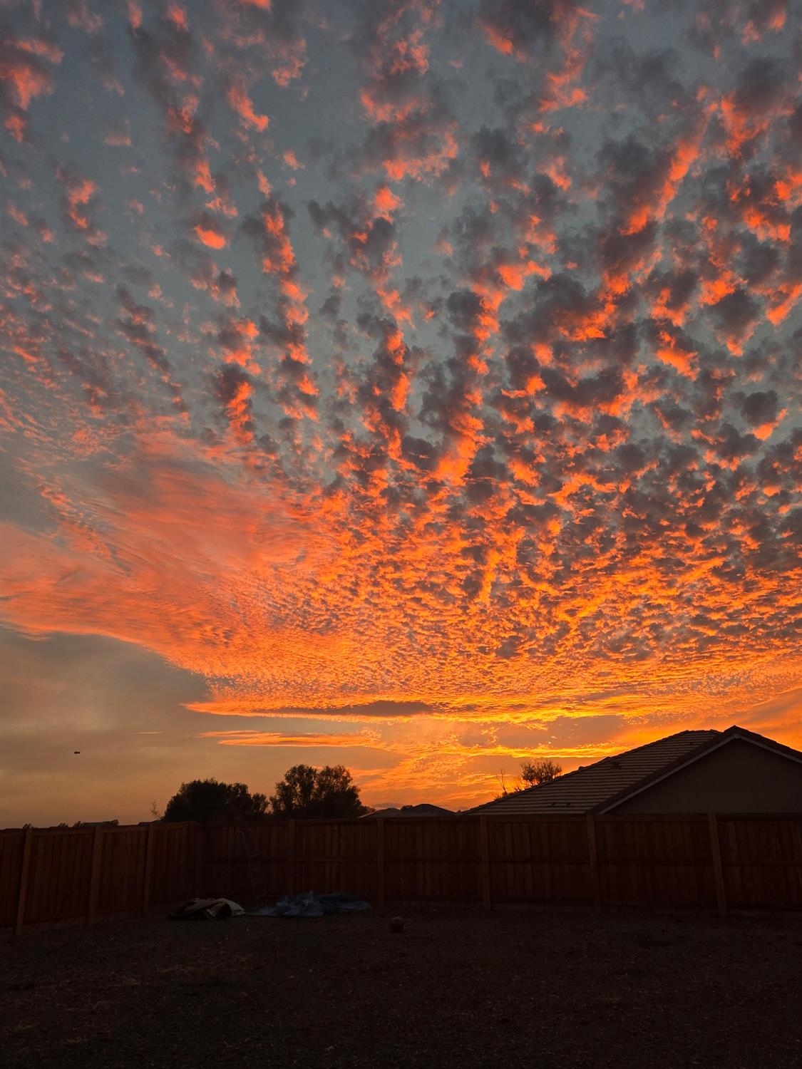 1485 Stepney Way Plumas Lake, CA 95961 - Photo 25 of 27 Beautiful sunsets from your backyard.