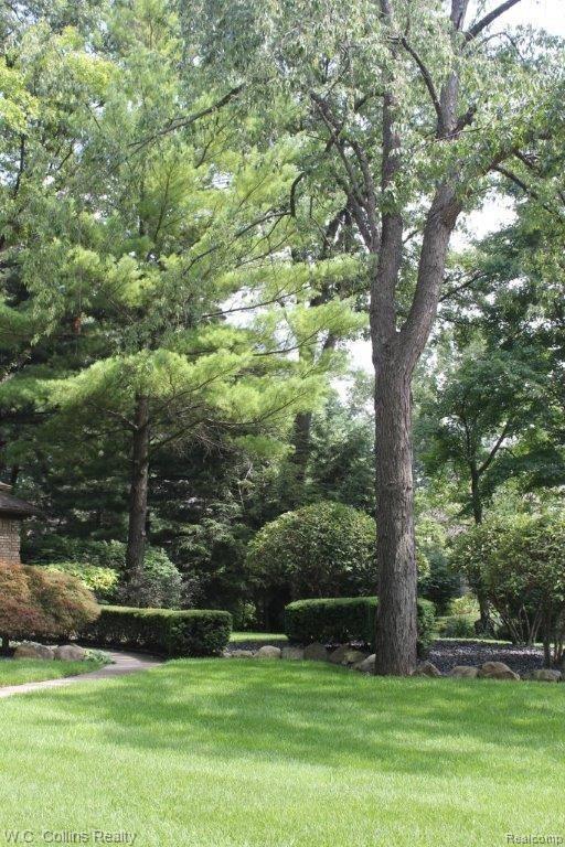 5969 Hunters Ridge Drive Washington, MI 48094 - Photo 3 of 18 3 Yard.jpg