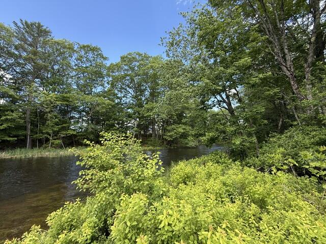 866 Main Street Meddybemps, ME 04657 - Photo 104 of 116 IMG_1447