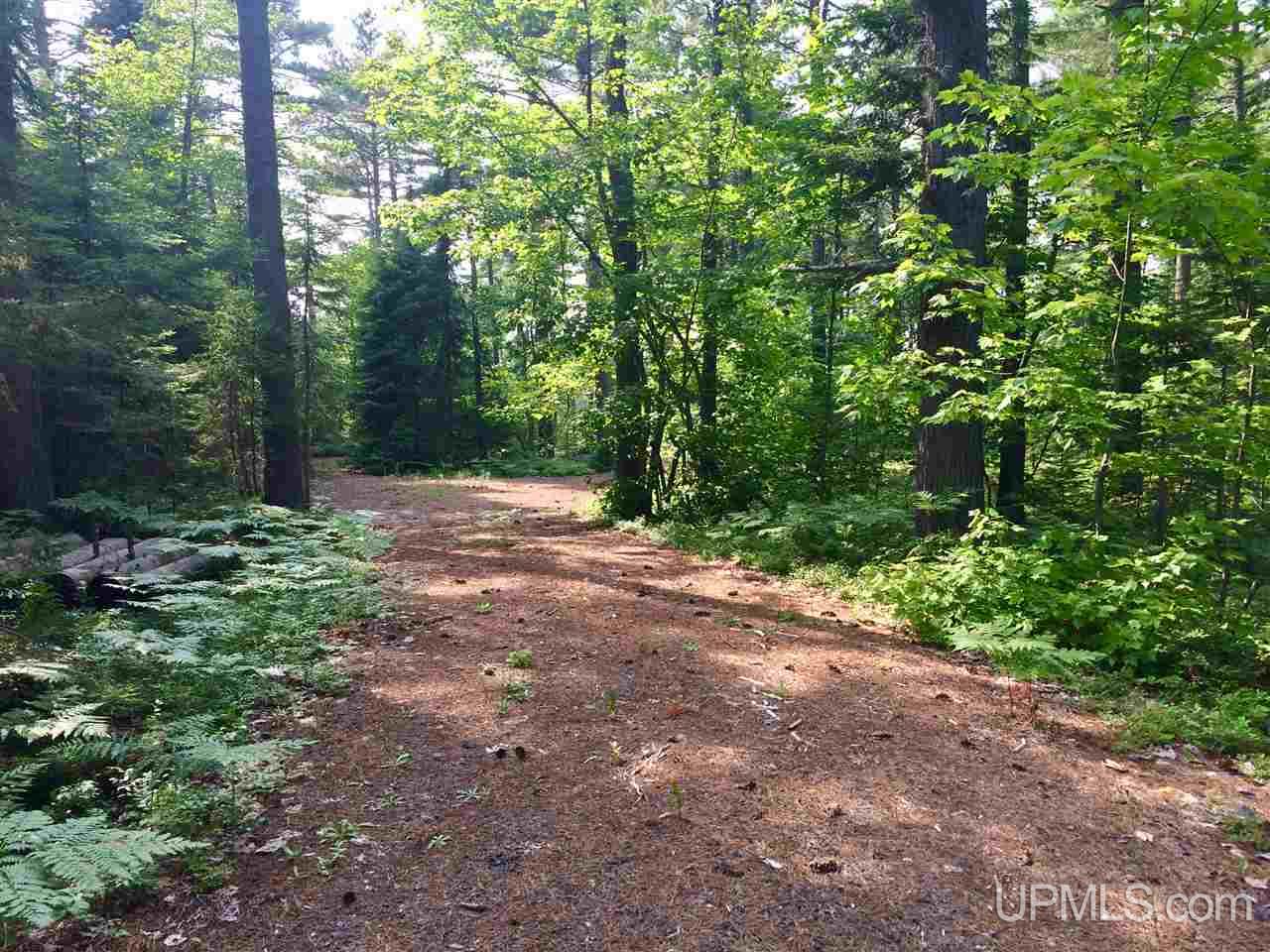 Tbd Bete Grise Road, Unit LOT 13 Mohawk, MI 49950 - Photo 6 of 18