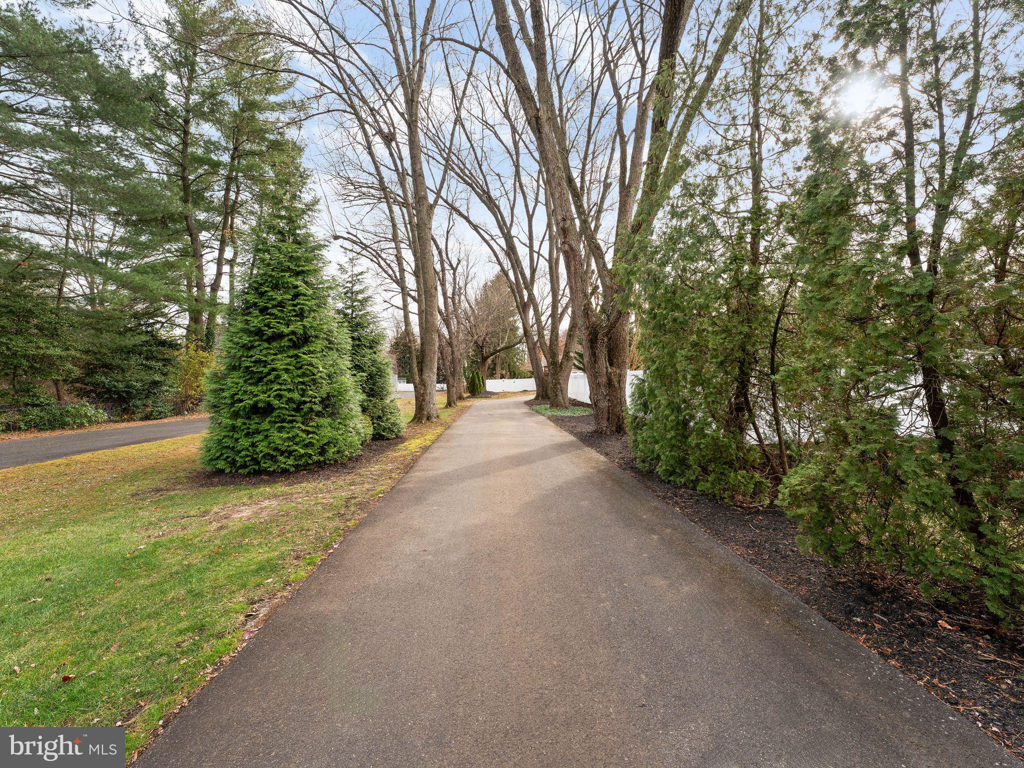 236 Carraige Hill Road Moorestown, NJ 08057 - Photo 45 of 57 a view of a road with plants and trees