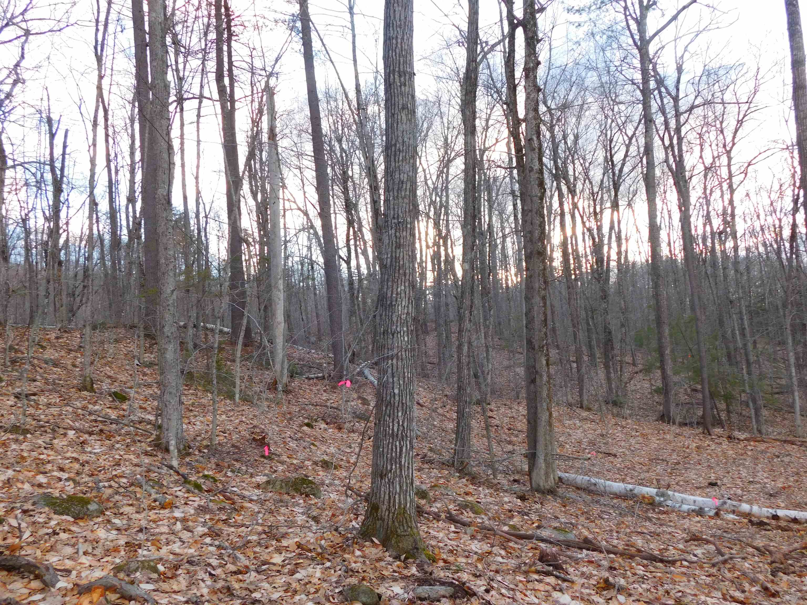 0 Crew Road Sanbornville, NH 03872 - Photo 1 of 7